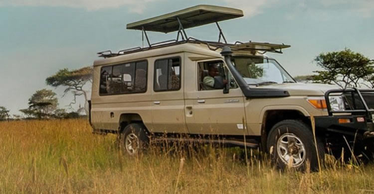 4x4 Land Cruiser Extended